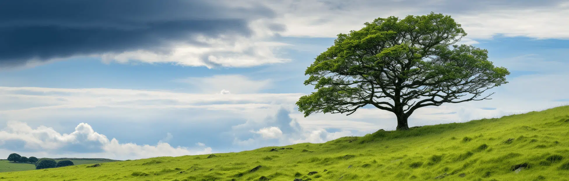 Sustainability -Packaging bags