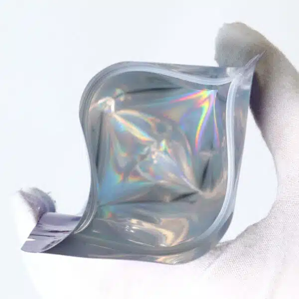 홀로그램 식용 가방