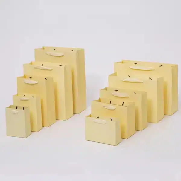 Sacola de papel Kraft